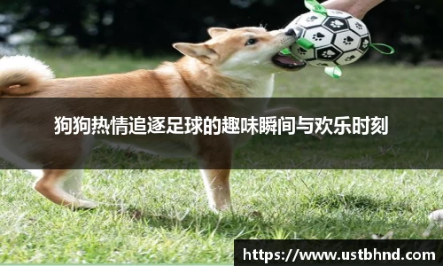 mk体育股份公司