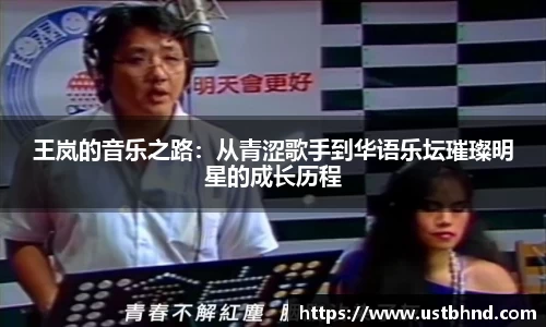 王岚的音乐之路：从青涩歌手到华语乐坛璀璨明星的成长历程